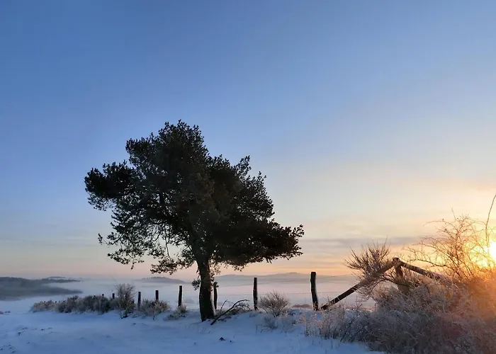 Giebelei 公寓 梅德巴赫